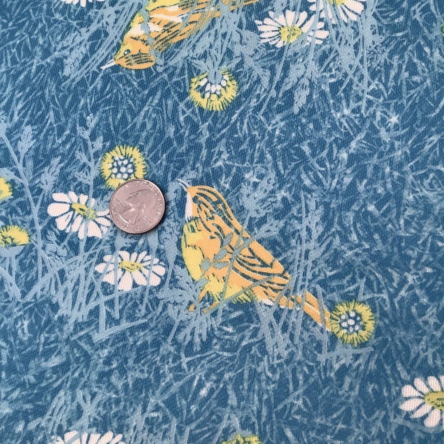 Novelty Bird Theme Fabric