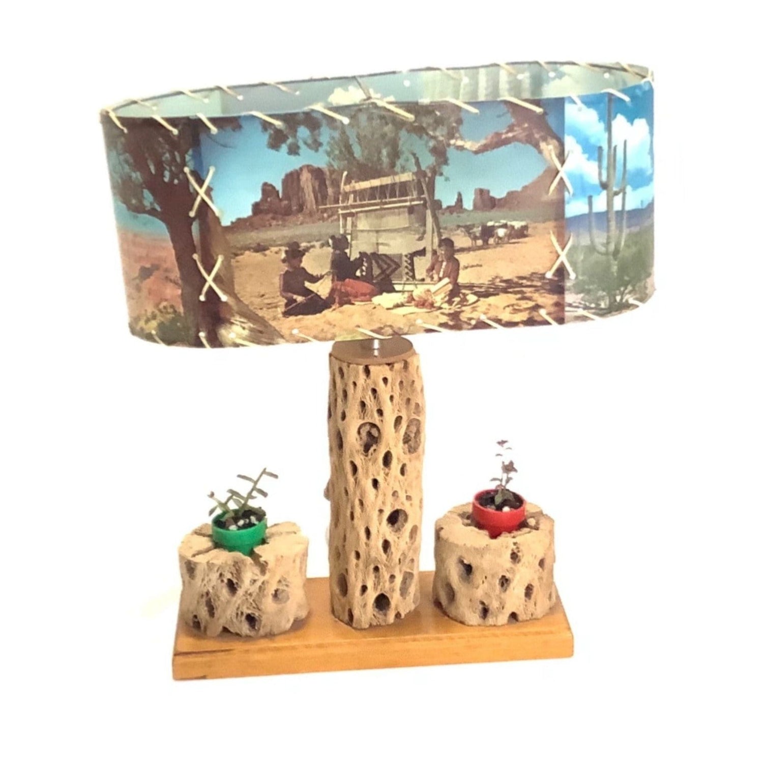 Vintage Novelty Cholla Lamp