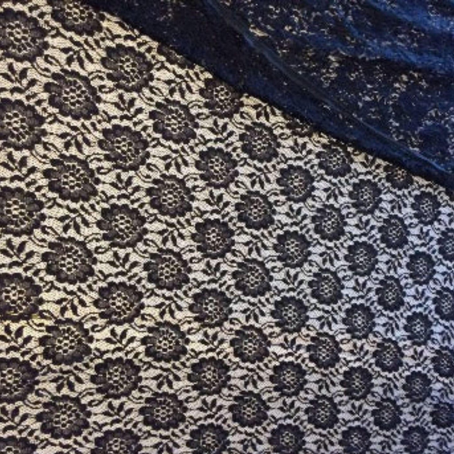 Black Lace Remnant