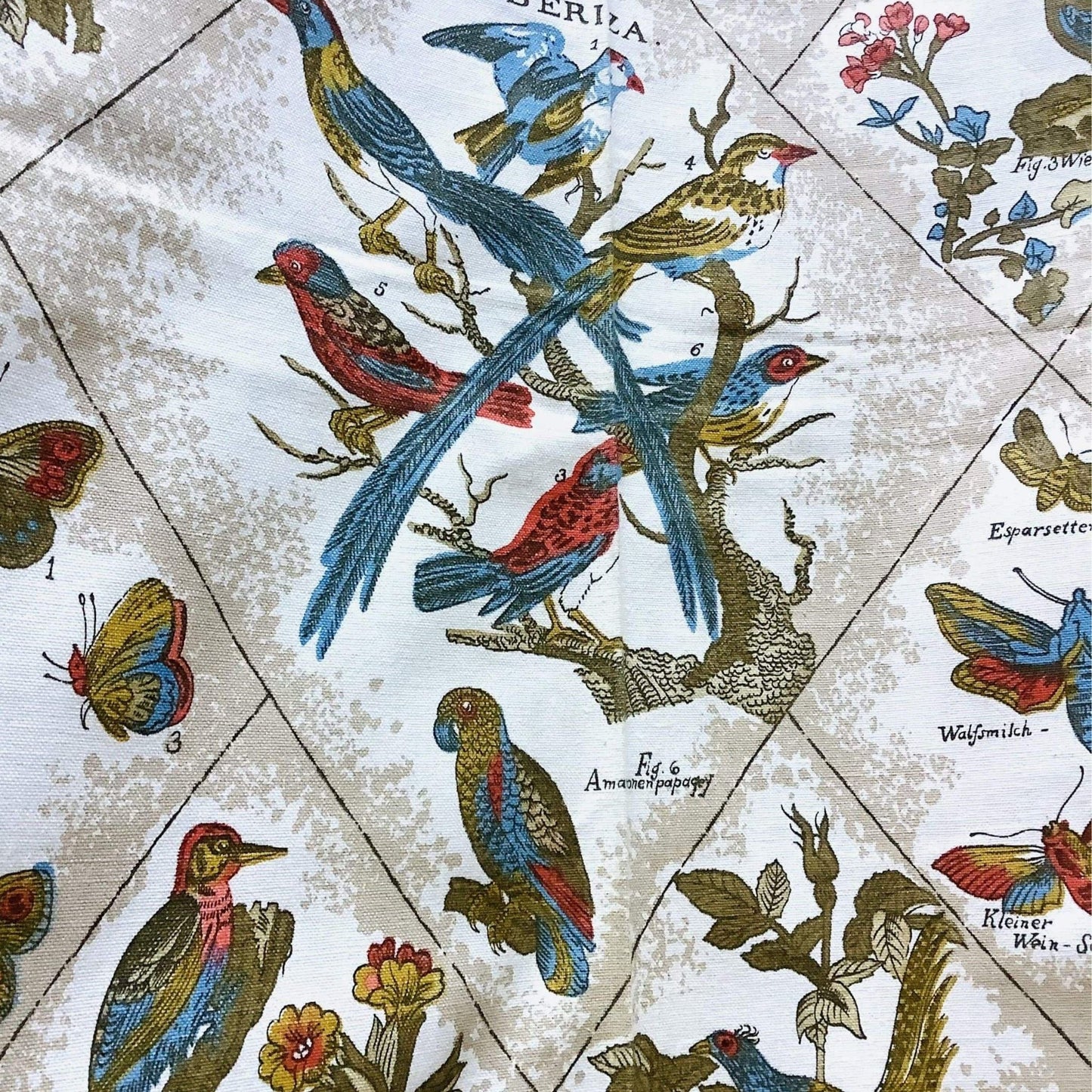 Botanical Cotton Fabric