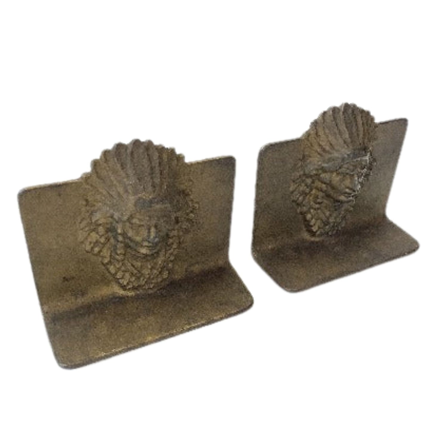 Bronze Native Bookends