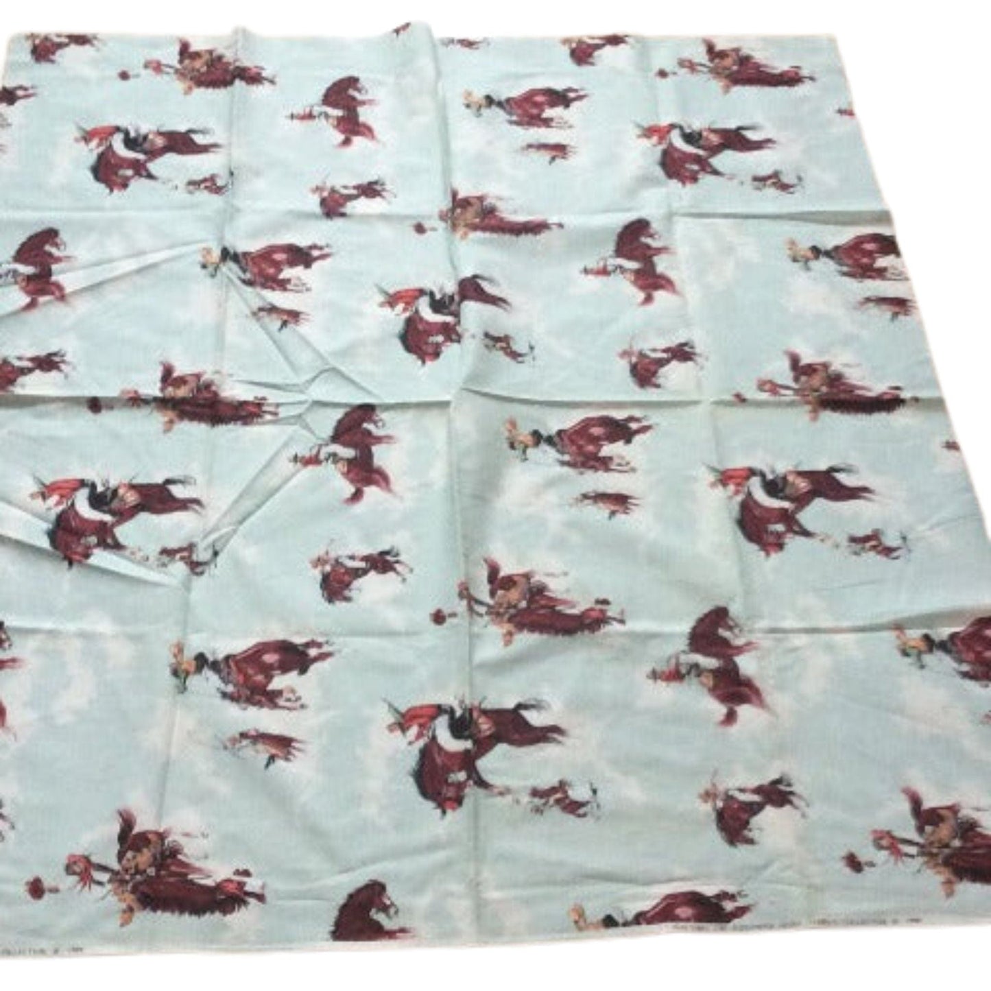 Bucking Bronco Fabric