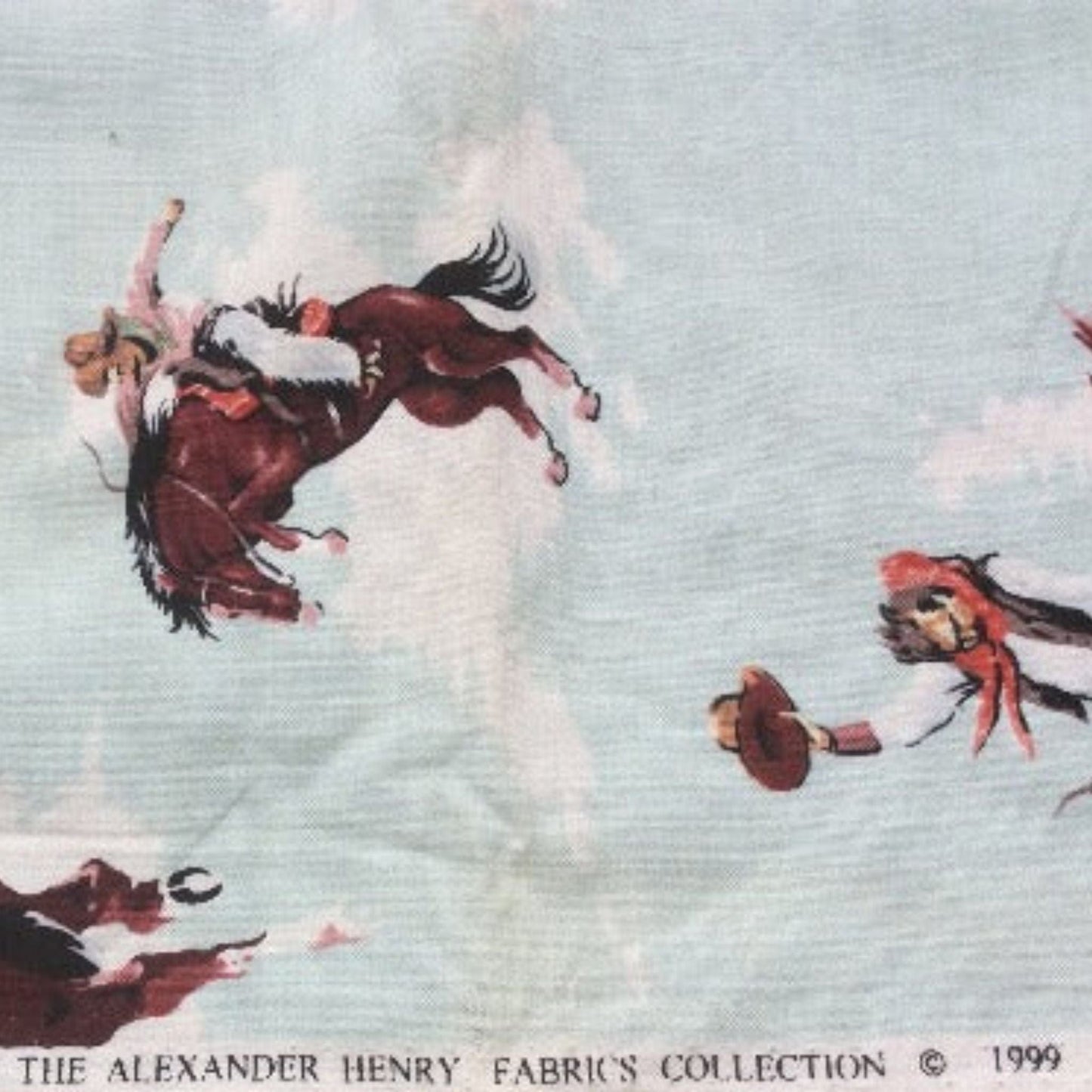 Bucking Bronco Fabric