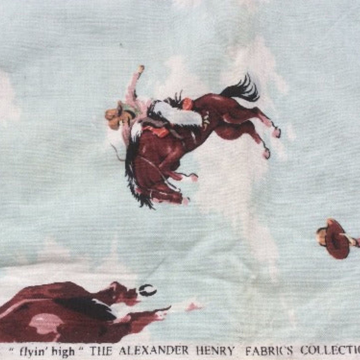 Bucking Bronco Fabric