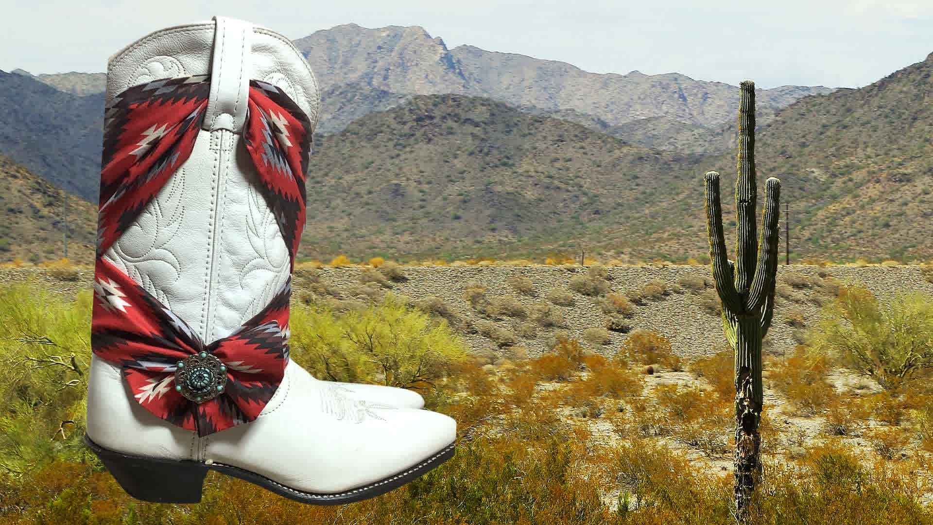 White cowboy boot with red and black design bandana in a desert landscape with mountains and cactus.