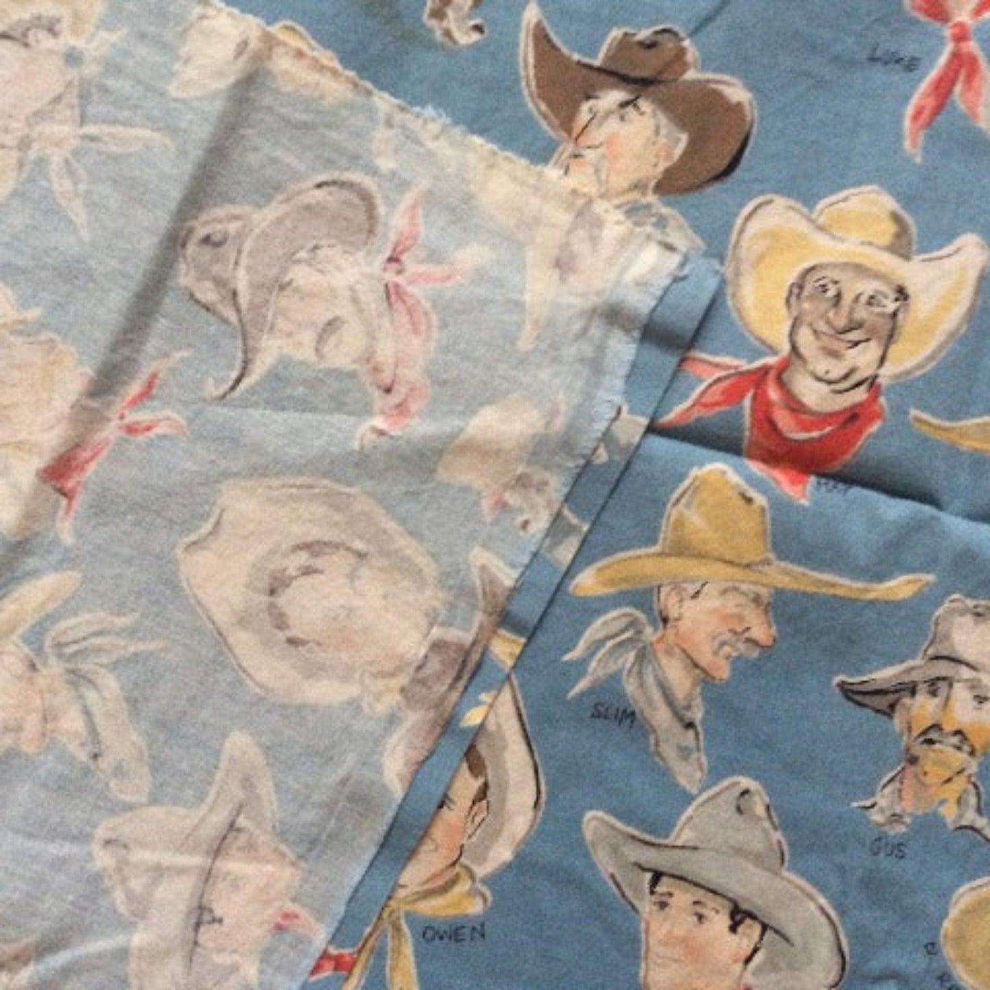 Cowboys Vintage Fabric