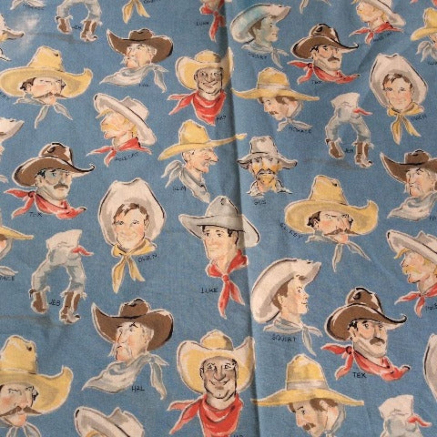 Cowboys Vintage Fabric