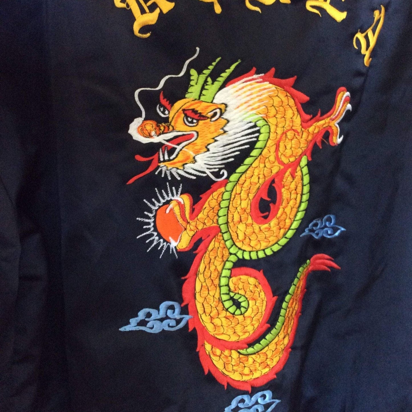 Embroidered Dragon Jacket