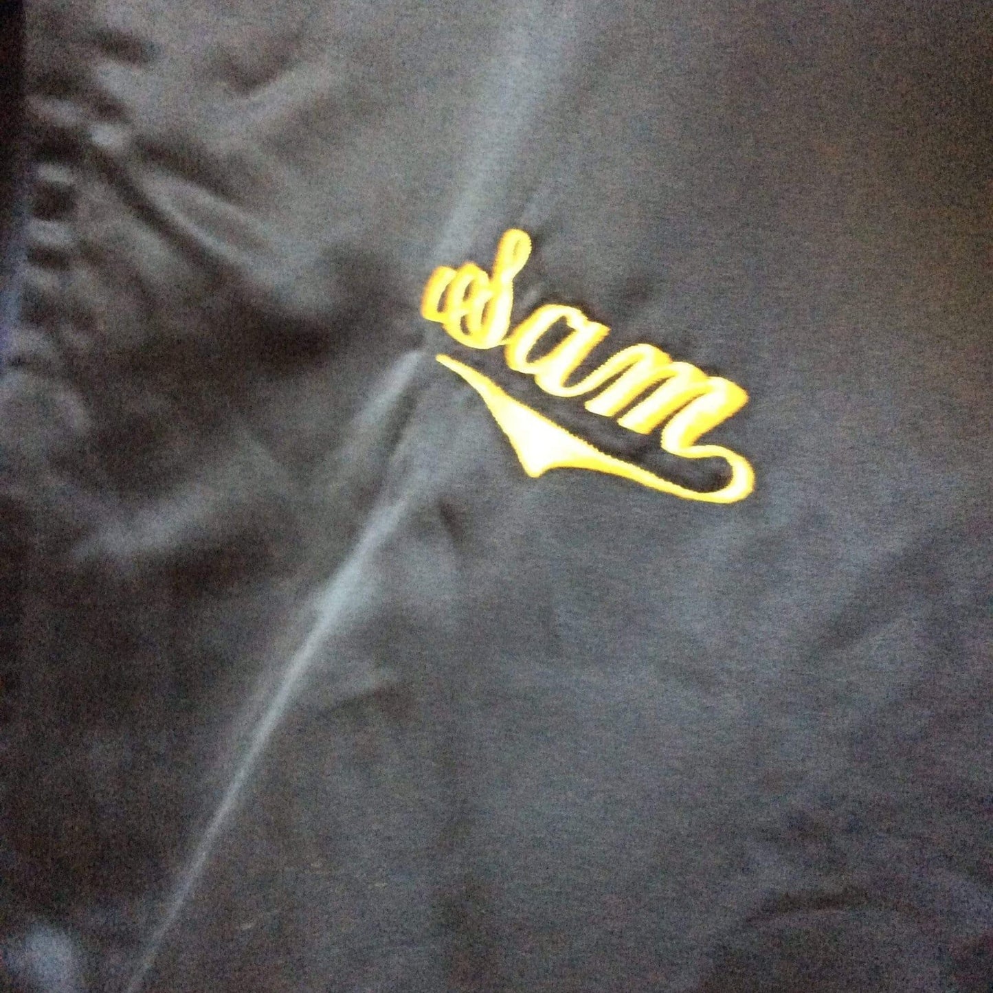 Embroidered Dragon Jacket