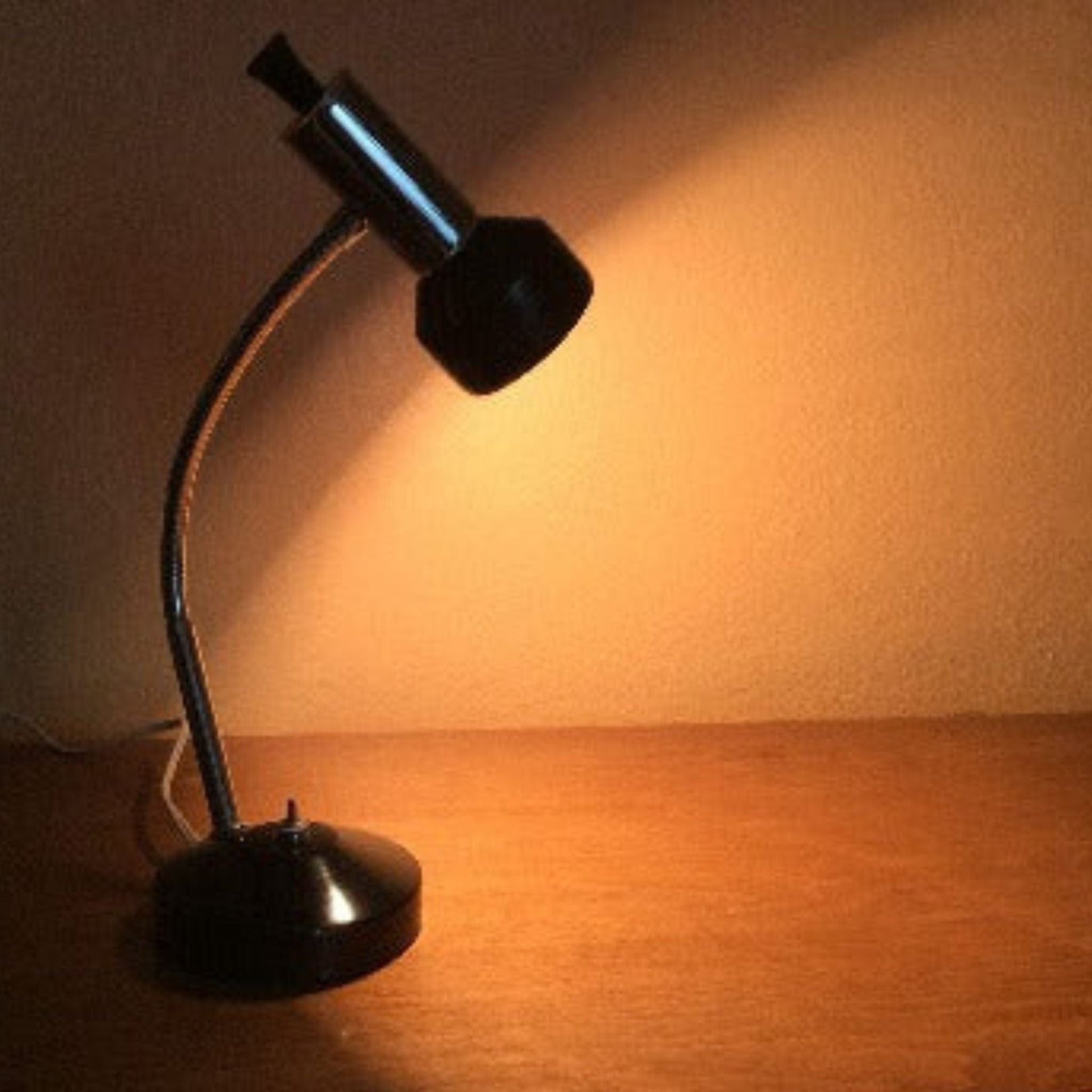 Gooseneck Desk lamp