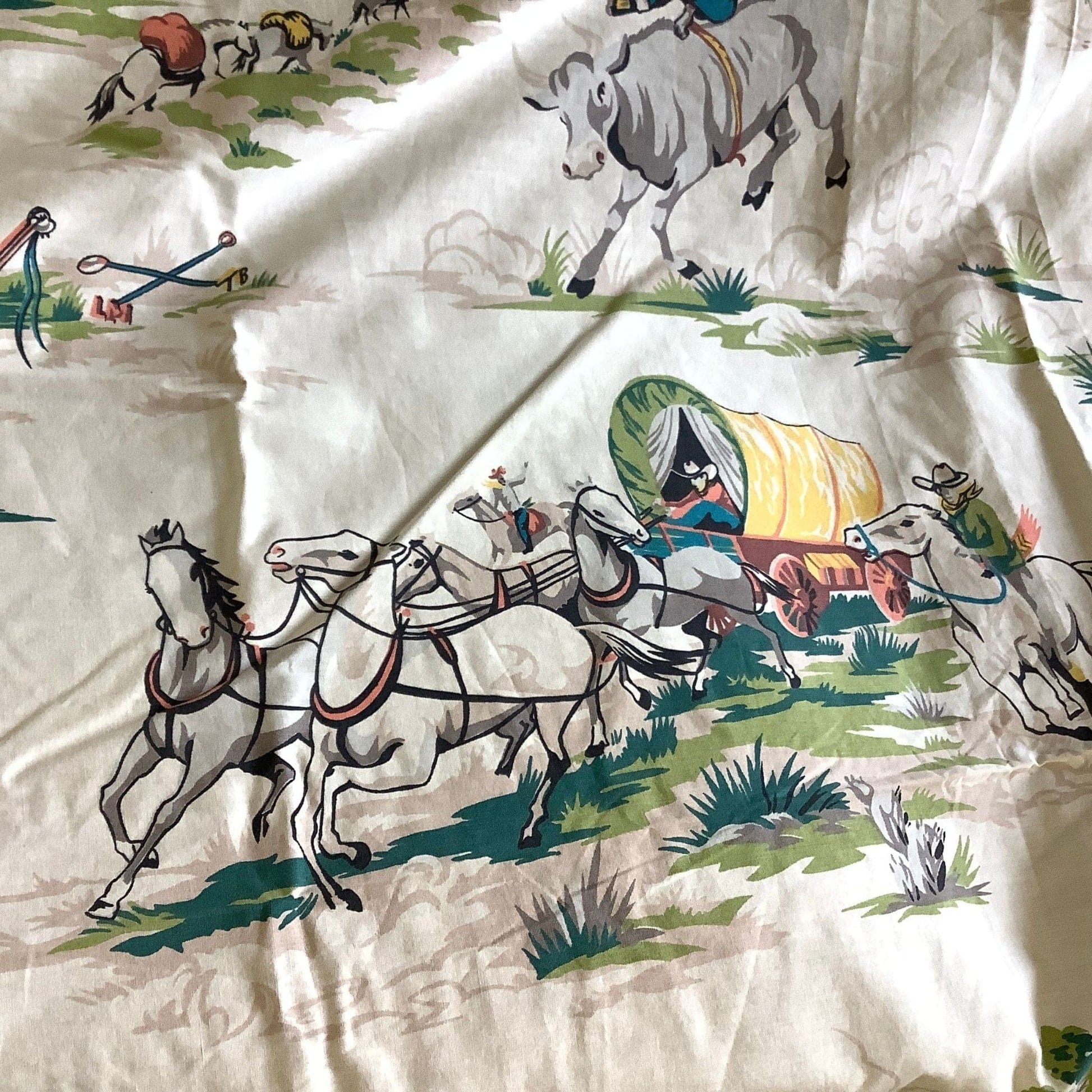 Joe Boxer Western Sheet