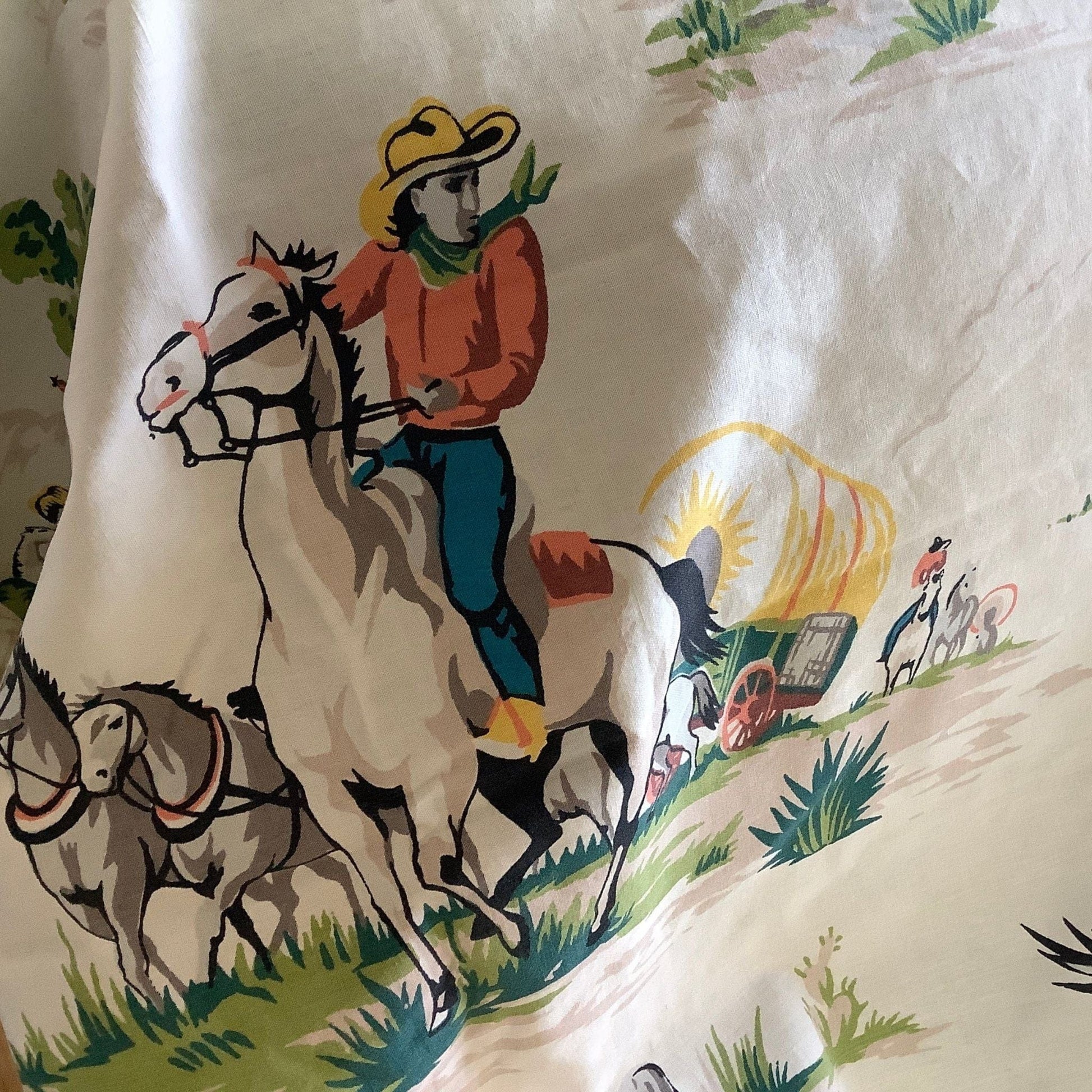 Joe Boxer Western Sheet