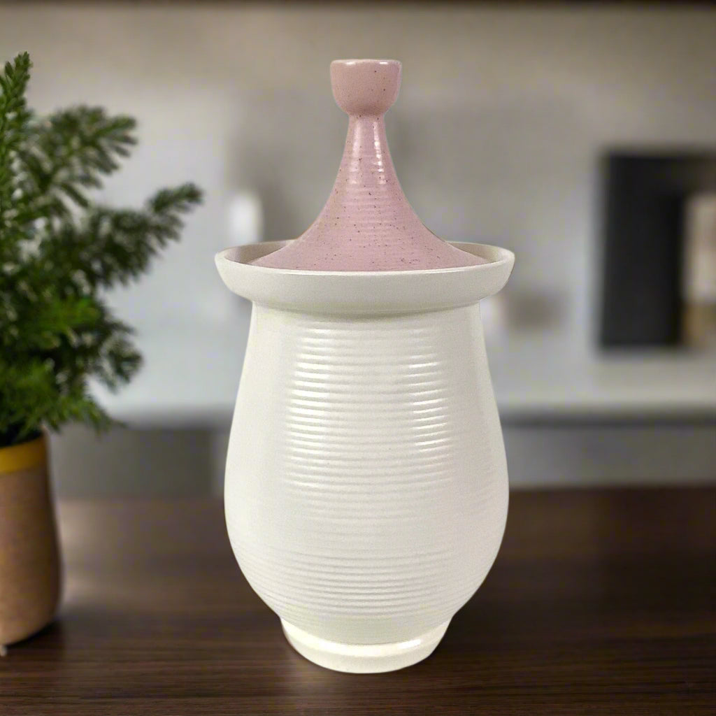 Mid Century Cookie Jar on dark wood counter partial view of greenery