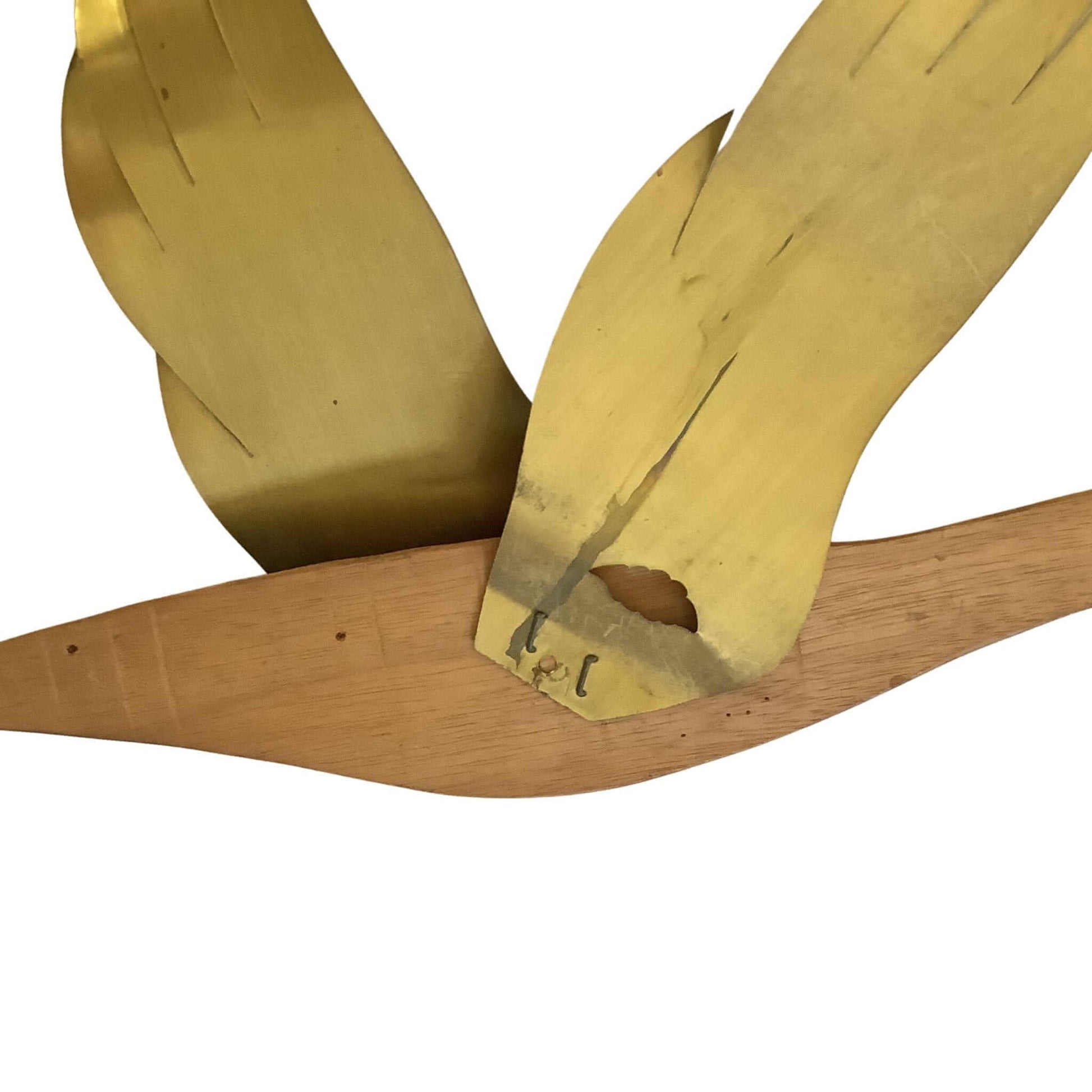 Close-up of  discoloration on back of brass wing from goose wall art on a white background