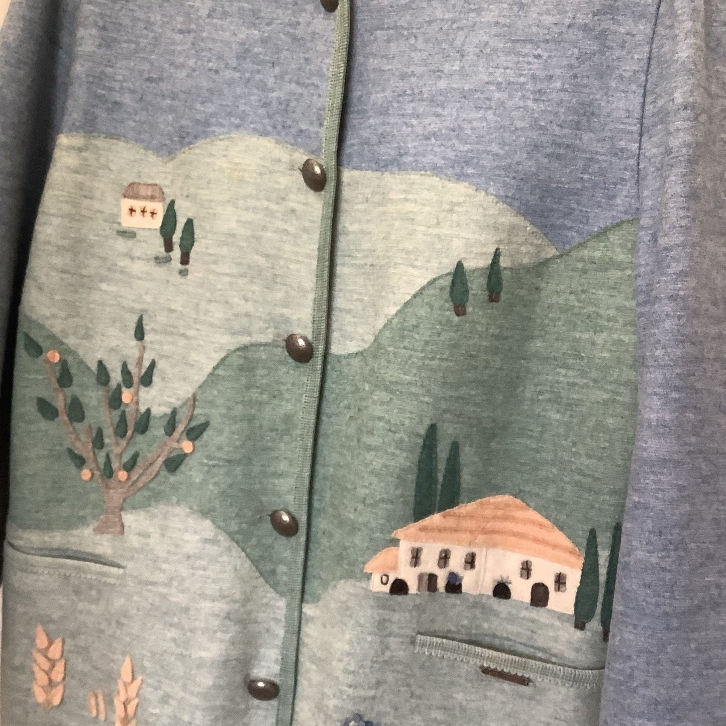 Vintage Giesswein Cardigan