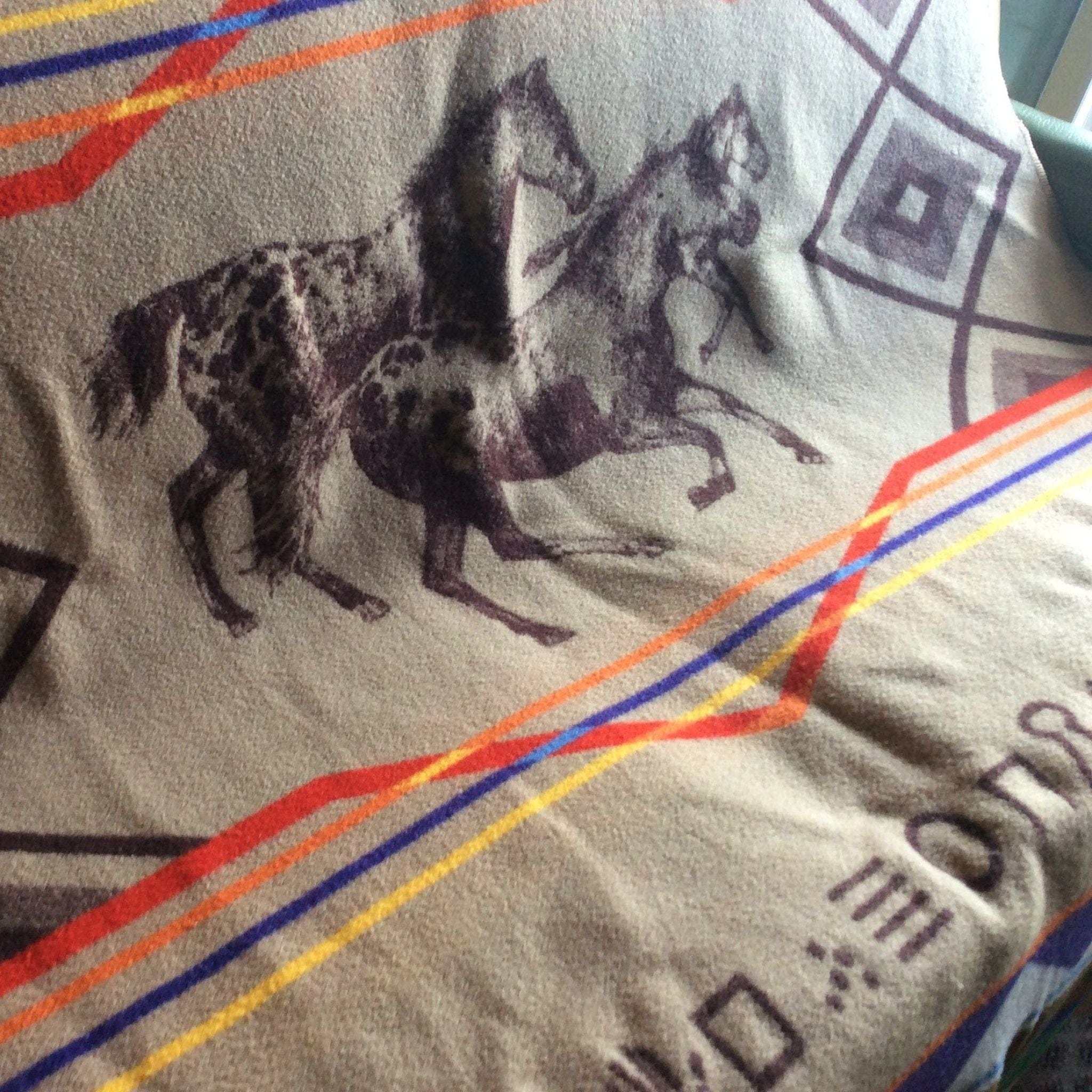 Pendleton '90s Appaloosa Horse Blanket Twin - Terry Hartman