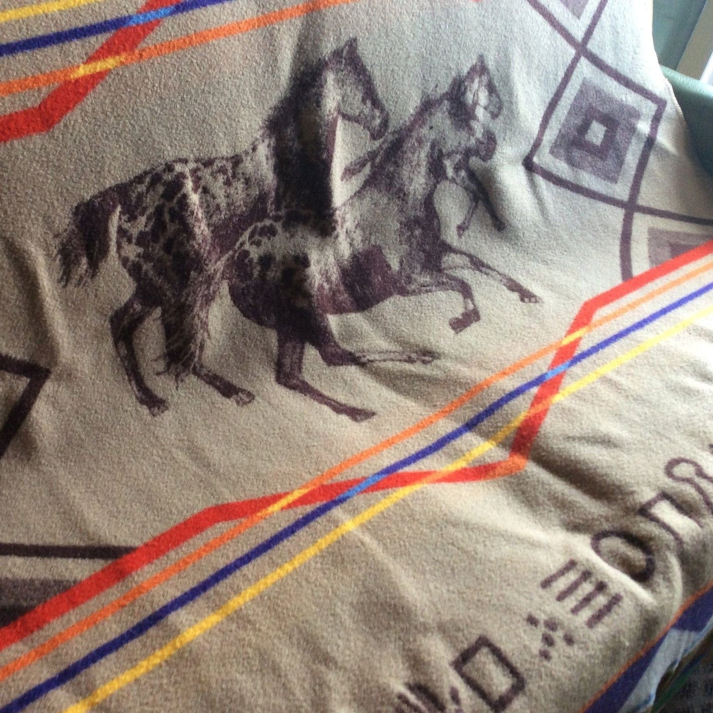 Vintage Pendleton Blanket