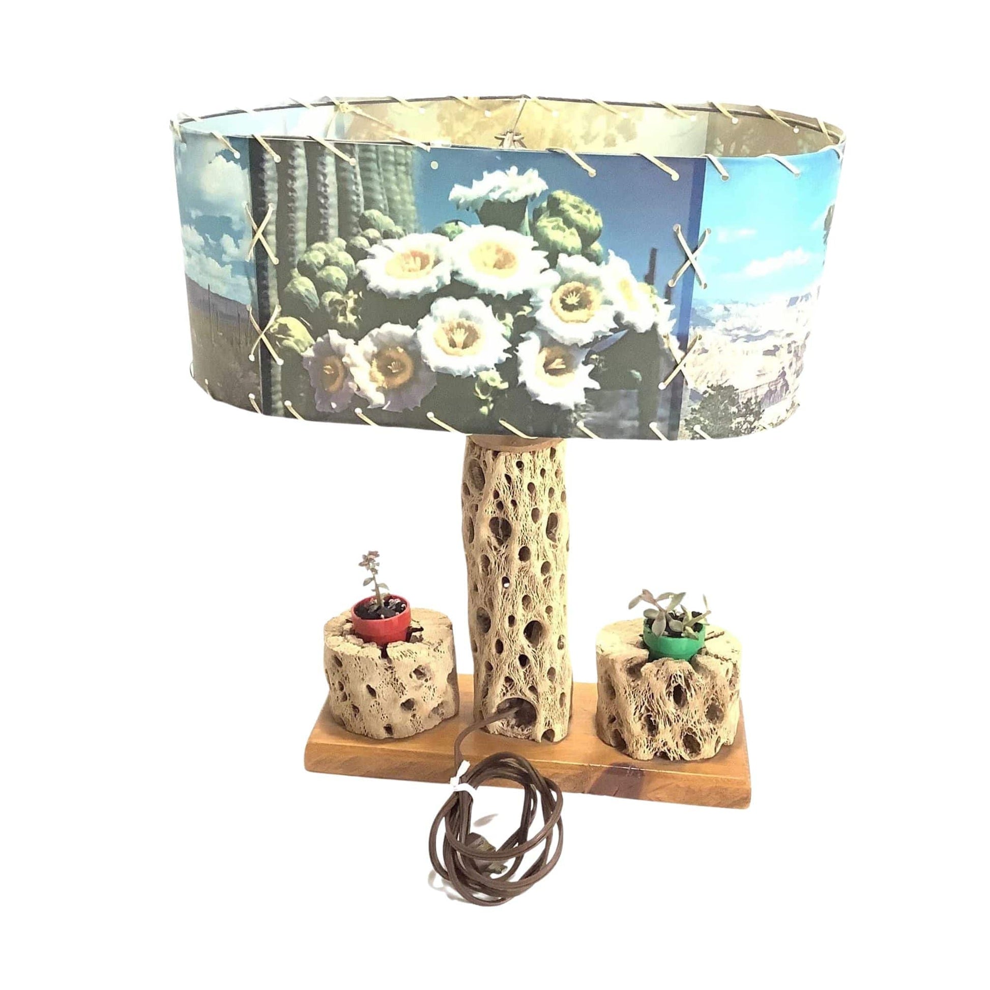 Western Cholla Cactus Lamp Cholla / Multi / Vintage 1930s